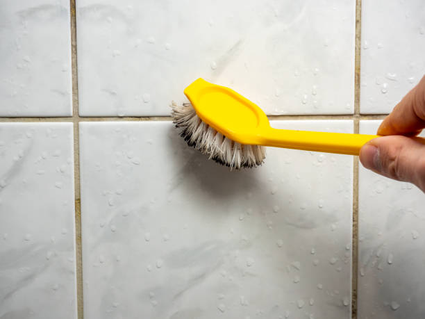 Best Home Mold Removal  in Franklinton, NC