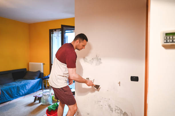  Franklinton, NC Mold Removal Pros